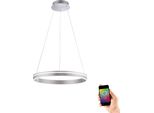 Led Pendelleuchte "Q-VITO", Stahlfarben, 1, Ø 59Cm, 1 Stk., Neuhaus Q Smart Home Lights, Leuchten, Led Pendelleuchte