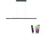 Led Pendelleuchte "Q-ARIAN", Schwarz (Anthrazit), 3, 1 Stk., Neuhaus Q Smart Home Lights, Leuchten, Led Pendelleuchte