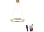 Led Pendelleuchte "Q-VITO", Messingfarben Matt, 1, Ø 59Cm, 1 Stk., Neuhaus Q Smart Home Lights, Leuchten, Led Pendelleuchte