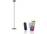 LED Stehlampe "Q-ROTATE", Braun (Schwarz, Metal Braun), 1, Ø 22Cm H: 140Cm, 1 Stk., Neuhaus Q Smart Home Lights, Leuchten, LED Stehlampe