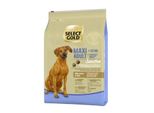 Select Gold Sensitive Croquettes Chien Adulte Maxi Agneau Et Riz 4 Kg
