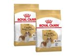 Royal Canin Cavalier King Charles Adulte Croquettes Chien 2X1,5 Kg