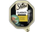 Sheba Classics En PâTé 22X85G Cocktail De Volaille 22X85 G