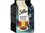 Sheba Fresh Fine Nourriture Humide Pour Chat Adulte Multipack En Sauce BœUf, Poulet, Agneau 36X50 G