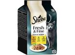 Sheba Fresh & Fine Nourriture Humide Pour Chat Adulte, Multipack, En GeléE Dinde, Poulet Et Volaille 36X50 G
