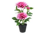 Kunstblume I.Ge.A. "Chrysantheme Im Topf 40Cm", Dunkelrosa, B:20Cm H:40Cm T:19Cm, Kunstpflanzen, Kunstpflanze Pflanze Blume KüNstlich Deko Herbstdeko Seidenblume
