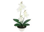 Kunstblume I.Ge.A. "Kunstorchidee Im Topf", Weiß, B:18Cm H:30Cm T:12Cm, Polyester, Kunstpflanzen, 30Cm KüNstliche Orchidee Mit BlüTen Phalaenopsis Kunstpflanze Pflanze