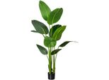 KüNstliche Zimmerpflanze Creativ Green "Strelitzia", GrüN, H:160Cm, Kunststoff, Kunstpflanzen, KüNstliche Zimmerpflanze