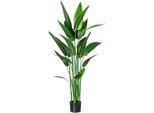 KüNstliche Zimmerpflanze Creativ Green "Wassercanna", GrüN, H:140Cm, Kunststoff, Kunstpflanzen, KüNstliche Zimmerpflanze