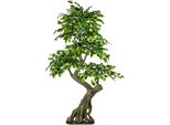 Kunstbaum Creativ Green "Ficus Benjamini", GrüN, B:80Cm H:170Cm, Kunststoff, Kunstpflanzen