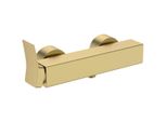 Ideal Standard Brausearmatur Ap Conca, Brushed Gold BC761A2