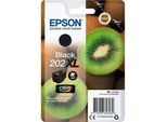 Epson Tintenpatrone Schwarz Claria Premium 202 Xl T 02G1