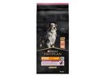 PRO Plan Adult Medium & Large 7+ Sensitive Skin Saumon 14 Kg