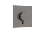 Hansgrohe Thermostat Ecostat Comfort E Up, F 1 Verbr., 25,4 L/M., Brush. Bla Vc (33710340)