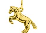 KettenanhäNger Firetti "Schmuck Geschenk Gold 375 Halsschmuck AnhäNger Pferd", Gold (Gelbgoldfarben), SchmuckanhäNger, Damen, Gelbgold 375, 0,5 G, KettenanhäNger