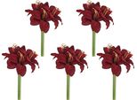 Kunstblume Creativ Green "Amaryllis", Rubin, H:31Cm, Polyester, Kunstpflanzen, Mit üPpiger BlüTenpracht