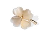 Brosche Firetti "Schmuck Geschenk Messing Ansteckschmuck Blume", Gelbgoldfarben, Perlmuttfarben, Broschen, Damen, Messing, Brosche