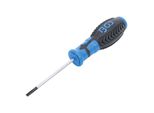Bgs Schraubendreher 4929, Schlitz 4 Mm, KlingenläNge 80 Mm ; Bgs Technic)