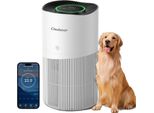 Luftreiniger, H13 HEPA-Filter, bis zu 120 m² Abdeckung, WLAN, 5kg
