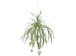 Kunstpflanze Otto Home "GrüNlilie", GrüN (GrüN, Weiß), B:34Cm H:75Cm L:34Cm, Obermaterial: 85% Polyester, 10% Kunststoff, 5% Metall, Kunstpflanzen, Kunstpflanze, Mit HäNgeampe, KüNstliche Wasserlilie