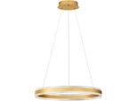 Nova Luce Pendelleuchte "Alaro", Goldfarben, 1, Ø 60Cm H: 120Cm, 1 Stk., Leuchten, Pendelleuchte