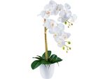 Kunstorchidee Creativ Green "Orchidee Phalaenopsis", Weiß, H:56Cm, Kunststoff, Kunstpflanzen, Mit Real-Touch-BlüTen