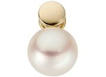 PerlenanhäNger Jobo "AnhäNger Mit Perle", Gelb (Gelbgold 585), SchmuckanhäNger, Damen, Gelbgold 585 Perlen, Gelbgold 585, Perlen, 585 Gold Mit SüßWasser-Zuchtperle