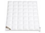 Hofmann Franken Daunenbett Daunendecke 6x7, 200x220 5 cm Außensteg 100% Daunen