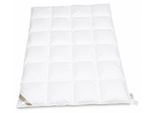 Hofmann Franken Daunenbett Daunendecke 4x6, 155x220 5 cm Außensteg 100% Daunen