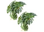 Kunstpflanze Creativ Green "Monstera Adesonii", GrüN, B:40Cm H:24Cm, Kunststoff, Kunstpflanzen, Kunstpflanze, Mit Naturgetreuem Blattwerk