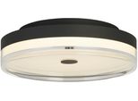 Searchlight Led Deckenleuchte "Cyprus Led Deckenleuchte, Schwarzes Metall Und Klares Acryl", Energieeffizienz: G (A-G), Schwarz, Weiß, Klar, H: 11Cm, 1 Stk., Leuchten, Led Deckenleuchte