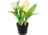 Kunstblume I.Ge.A. "Tulpen", Beige (Creme), B:20Cm H:22Cm L:20Cm, Polyester, Kunstpflanzen, Real-Touch BlüTen Tulpe Tulpenstrauß Latex Kunsttulpe Einzelblumen
