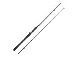 Savage Gear Alpha SG2 Jerk Bc 1,98M 30-80G 2P Baitcastrute