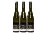 Weingut Schmidt 2023Er Riesling "Vom Schiefer"" Trocken 13,0 % Vol 6 X 0,75 Liter"