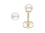 Paar Ohrstecker Jobo, Gelb (Gelbgold 585), Ohrringe, Damen, 4Mm, Gelbgold 585 Perlen, Gelbgold 585, Perlen, 585 Gold Mit Akoya-Zuchtperlen 4 Mm