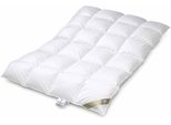 Hofmann Luxus Daunenbett Daunendecke Bettdecke 4x6 135x200 cm 100 % neue Daunen