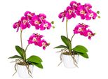 Kunstpflanze Creativ green "Orchidee Phalaenopsis", Pink, H:60Cm, Kunststoff, Polyester, Kunstpflanzen, Kunstpflanze, Im Keramiktopf