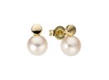 Paar Ohrstecker Jobo "Ohrringe Mit Perlen", Gelb (Gelbgold 585), Ohrringe, Damen, Gelbgold 585 Perlen, Gelbgold 585, Perlen, 585 Gold