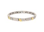 Armband Titania "Titanarmband", Silber (Silbergoldfarben), ArmbäNder, Damen, Titan, Armband, Bicolor Mit Zirkonia