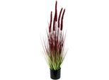 Kunstpflanze I.Ge.A. "Fuchsschwanzgras", Rot, B:16Cm H:65Cm, Obermaterial: 90% Kunststoff, 10% Polyester, Kunstpflanzen, Kunstpflanze, Im Topf