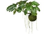 Kunstpflanze Creativ Green "Splitphilodendron", GrüN, B:120Cm H:80Cm, Kunststoff, Kunstpflanzen, Kunstpflanze