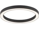Neuhaus Pure LED Deckenleuchte "Pure Lines Round", Schwarz (Graphite), 1, Ø 50Cm H: 3,9Cm, 1 Stk., Leuchten, Stufenlos Dimmbar üBer Fernbedienung, Cct, LED Deckenleuchte