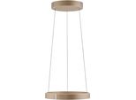 Neuhaus Pure LED Pendelleuchte "Pure E-Clipse", Bronzefarben, 2, Ø 50Cm H: 40Cm, 1 Stk., Leuchten, E-Lift-Funktion, Cct, Dimmbar üBer FernbedíEnung, LED Pendelleuchte