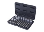 KS Tools Tx-SteckschlüSsel- Und Bit-Satz, 30-Teilig Bits Mit Bohrung (911.4301-2)