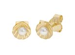 Paar Ohrstecker Firetti "Schmuck Geschenk Gold 375 Ohrschmuck Ohrringe Muschel", Gold (Gelbgoldfarben, Weiß), Ohrringe, Damen, 2,9Mm, Gelbgold 375 Perlen, Gelbgold 375, Perlen, Mit SüßWasserzuchtperle