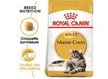 Royal Canin Maine Coon Adulte Croquettes Chat 4 Kg