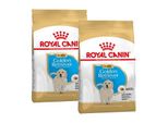 Royal Canin Golden Retriever Chiot Croquettes Chien 2X12 Kg