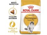 Royal Canin NorvéGien Adulte Croquettes Chat 2 Kg