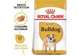 Royal Canin Bulldog Adulte Croquettes Chien 12 Kg