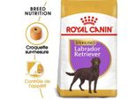 Royal Canin Labrador Adulte StéRilisé Croquettes Chien 12 Kg